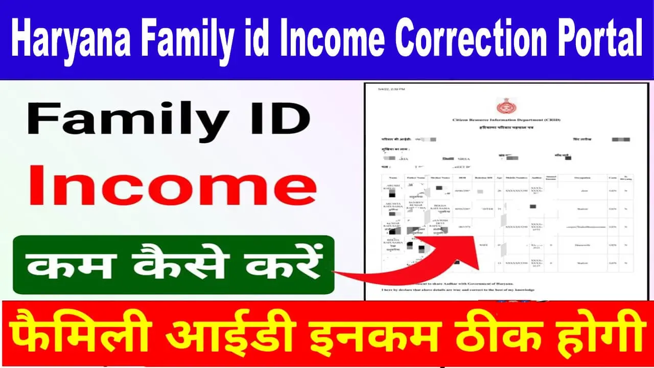 PPP Family Id Income Correction Form PDF
